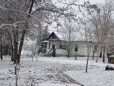 Ateliere pentru elevi și vizite …