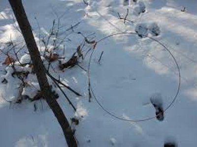 Bărbat reținut pentru braconaj cinegetic …