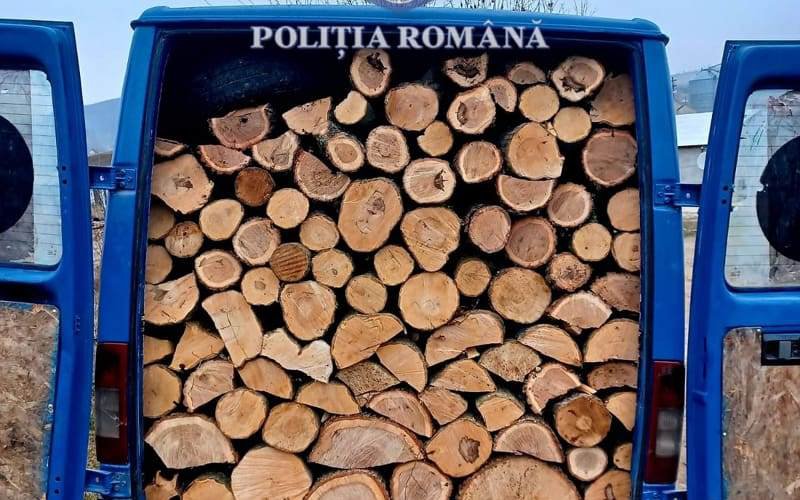 Material lemnos confiscat de polițiști la Bucecea