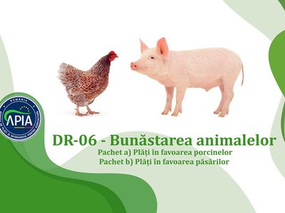 APIA primește cereri de plată …