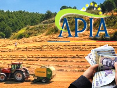 Bani pentru fermieri în 2026. …