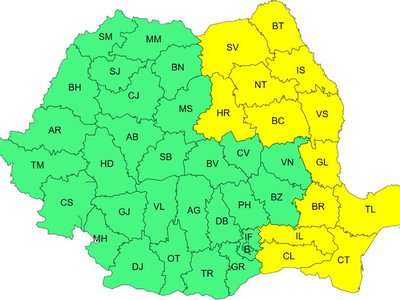 CODUL GALBEN de ger pentru …