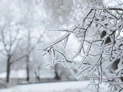 Codul Galben de ger pentru …