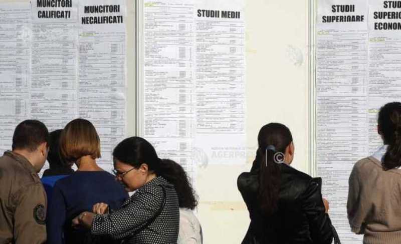 Peste 3.000 de persoane angajate prin intermediul AJOFM Botoșani în anul 2025