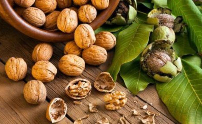 Beneficiile consumului de nuci
