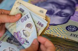 AJPIS Botoșani a acordat în …