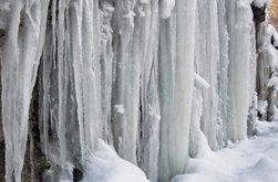 Codul Galben de ger pentru …