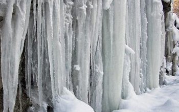 Codul Galben de ger pentru …