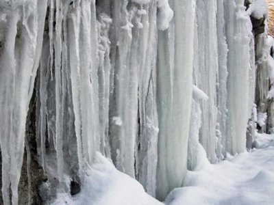 Codul Galben de ger pentru …