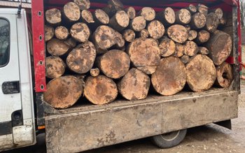 Material lemnos confiscat la Ibănești