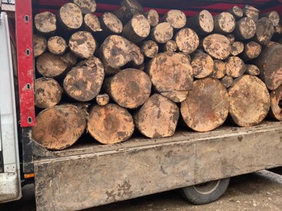 Material lemnos confiscat la Ibănești
