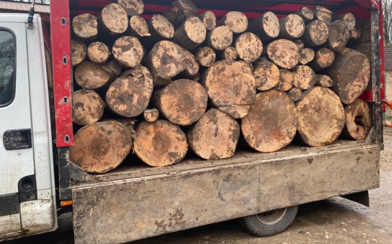 Material lemnos confiscat la Ibănești