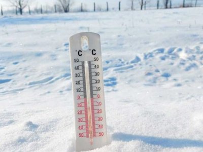 Cod Galben de ger pentru …