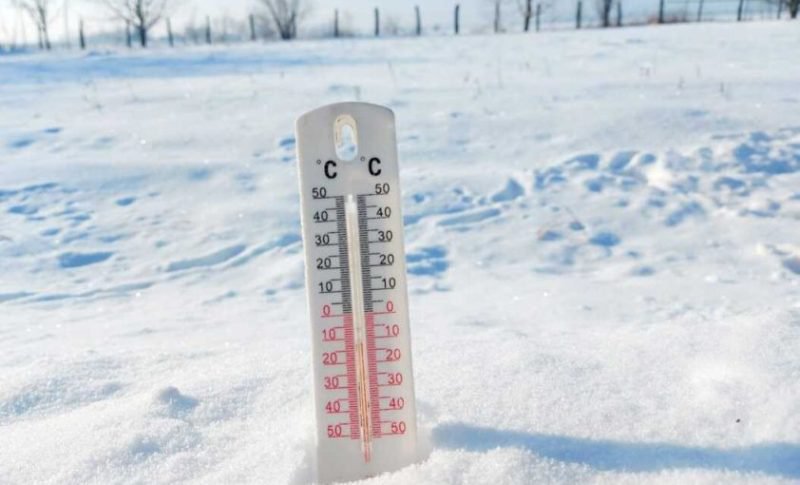 Cod Galben de ger pentru județul Botoșani