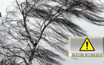 Cod galben de vânt pentru …