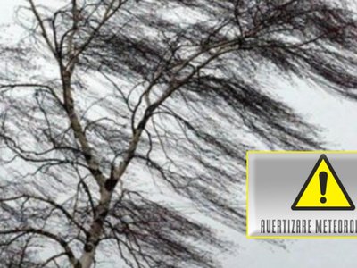 Cod galben de vânt pentru …