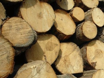 Sancțiune de 6.000 de lei …