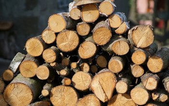 Material lemnos confiscat de polițiștii …