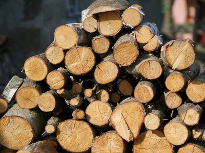 Material lemnos confiscat de polițiștii …