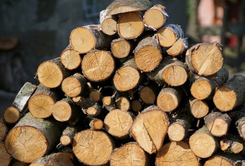 Material lemnos confiscat de polițiștii din Știubieni. Șoferul sancționat cu 5.000 de lei