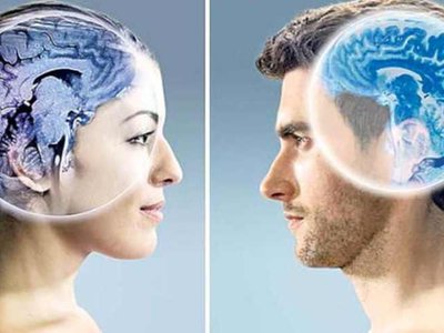 Care este diferența majoră între …