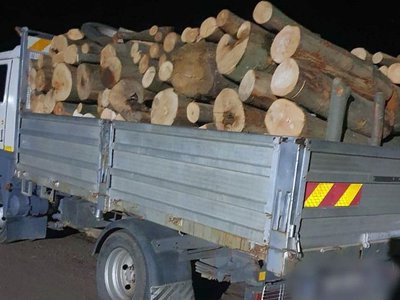 Material lemnos confiscat de polițiștii …