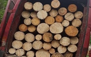 3 metri cubi de material …