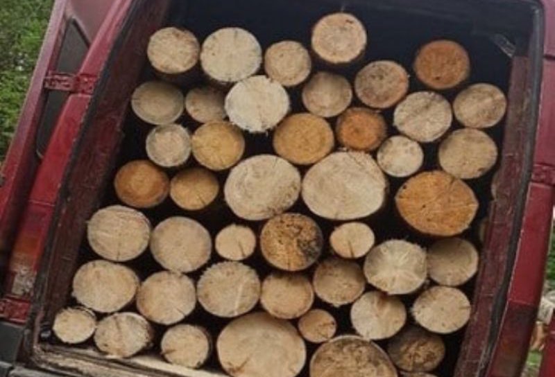 3 metri cubi de material lemnos confiscat de polițiștii din Dorohoi
