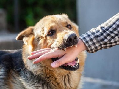 Cum trebuie să procedezi atunci …