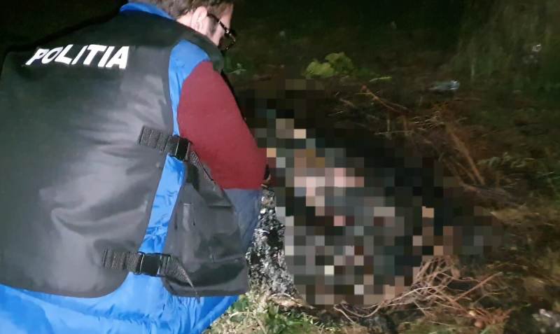 Botoșănean condamnat la 3 ani și două luni de închisoare pentru uciderea animalelor