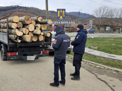 Patru metri cubi de material …