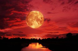 Luna Sângerie se vede din …