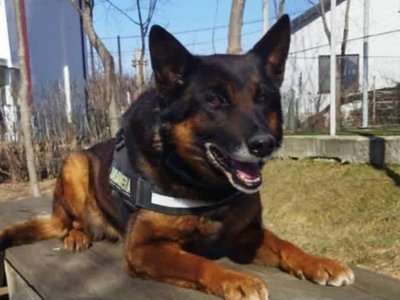 Pih, o viață în slujba …