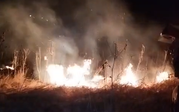 Aproximativ 15 hectare de teren …