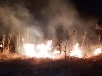 Aproximativ 15 hectare de teren …