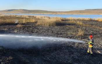 Două incendii de vegetație izbucnite …