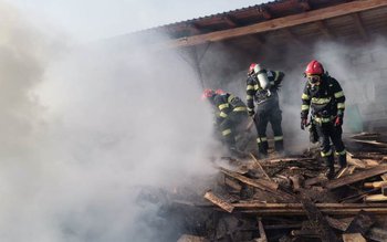 Aproximativ o tonă de lemne …