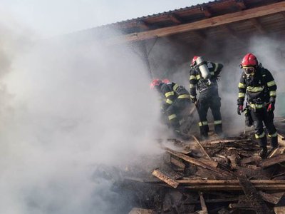 Aproximativ o tonă de lemne …