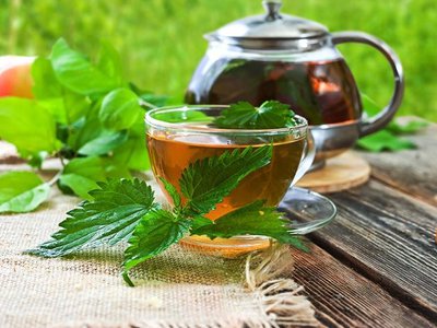 Beneficiile ceaiului de urzici