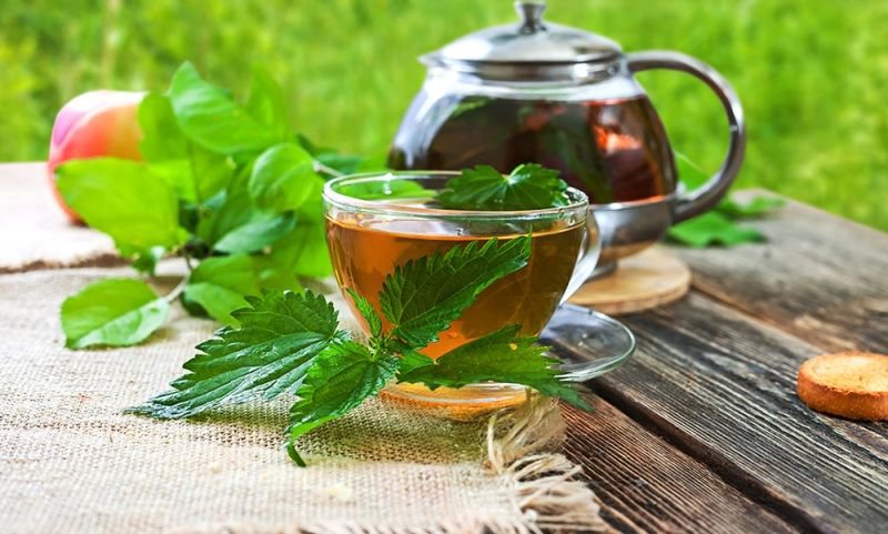 Beneficiile ceaiului de urzici