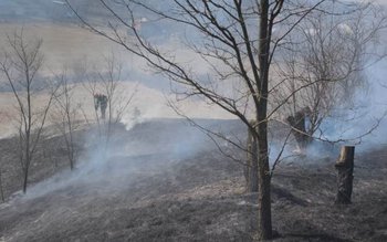 Pompierii botoșăneni au intervenit pentru …