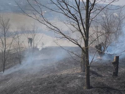 Pompierii botoșăneni au intervenit pentru …