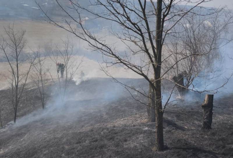 Pompierii botoșăneni au intervenit pentru stingerea a patru incendii de vegetație uscată, produse în ultimele 24 de ore
