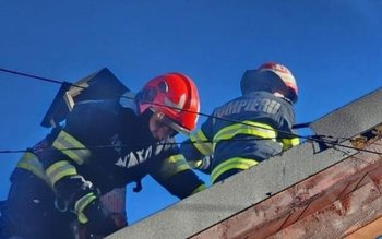 Casele a două familii din …