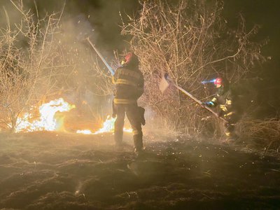 Intervenție a pompierilor pentru stingerea …