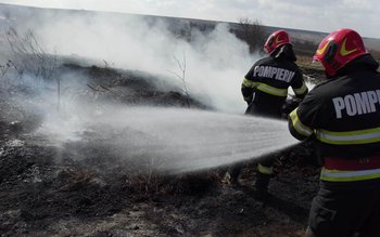 Incendii de vegetație în județ. …