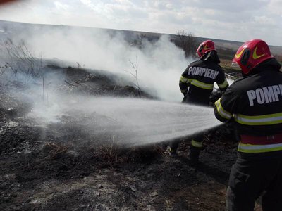Incendii de vegetație în județ. …