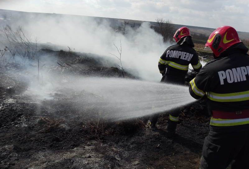 Incendii de vegetație în județ. Focul a distrus terenuri și culturi