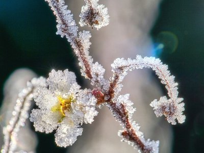 Se întorc ninsorile! Vreme rea …