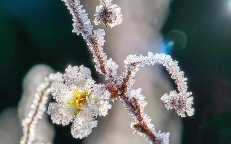 Se întorc ninsorile! Vreme rea până la sfârșitul lunii